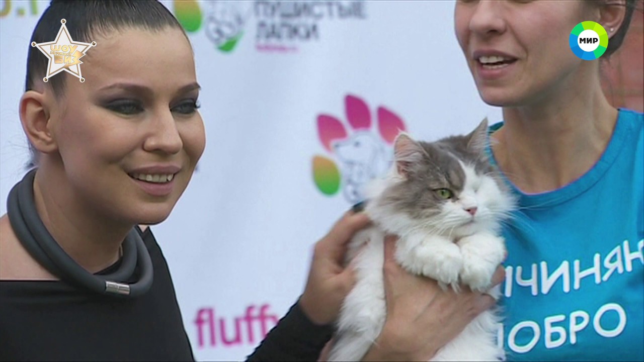 5 фактов о певице елка