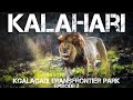 Kalahari 2021 Episode 2- Kgalagadi Transfrontier Park, Nossob