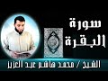 الشيخ محمد هاشم عبد العزيز سورة البقرة