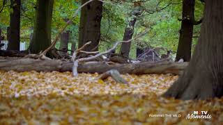 Motv Moments Myoutdoortv