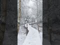 눈내린 겨울숲을 같이 걸어요#nature #힐링음악 #snow #피아노음악