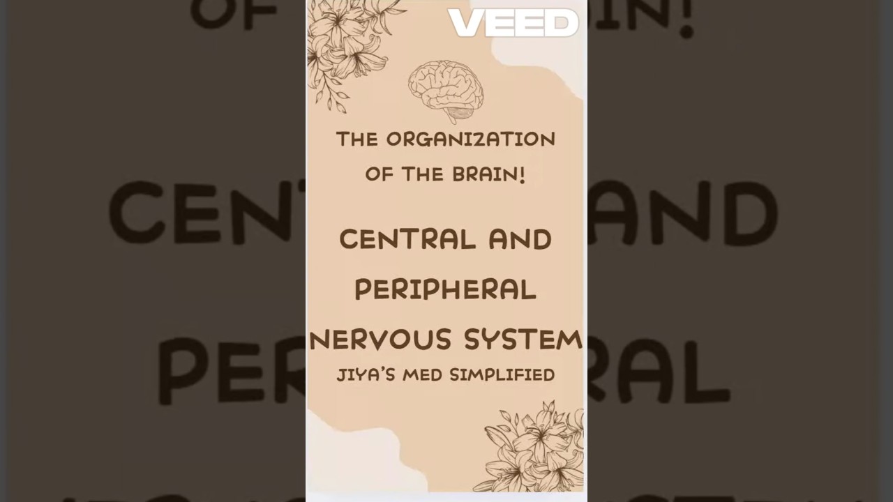 Central and Peripheral Nervous System