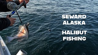 Salt Water Alaska Fishing Charter - Halibut, Rockfish, & Salmon - Seward, AK - 2023