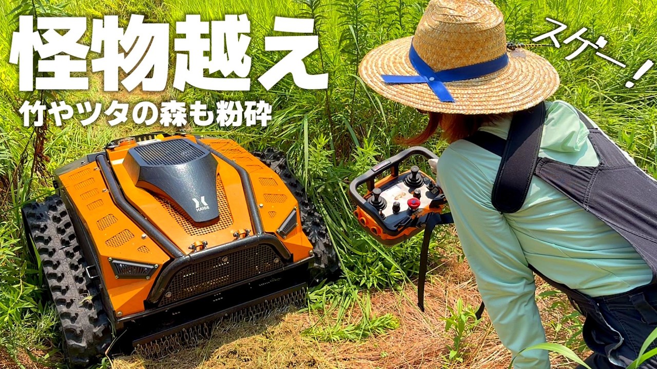 フジイ 自走式草刈り機MH502M リコイル混合油　動画あり ラジコン草刈り機】雑草の森を離れた場所から草刈り粉砕する｜HAIGE