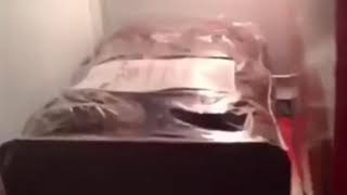 who in the hell put the muffins in the freezer??