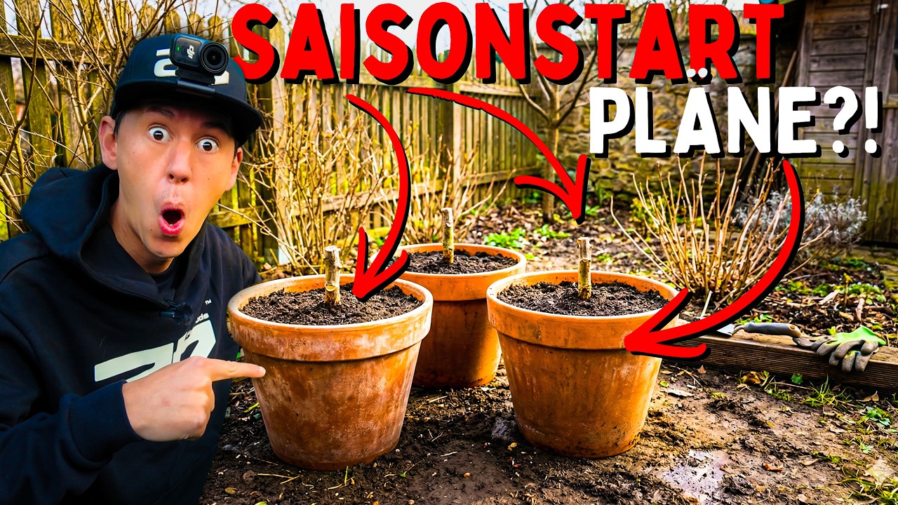 Outdoor Pläne 2026 😕 Erste Ernte und frische Gurken im März?! + Tomaten Gartenarbeit und Co.