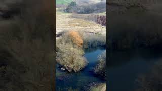 Maven app with Dji mini 2 pro #dji #beginners #Mini2pro #drone #maven