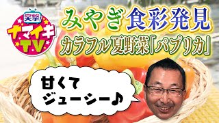 突撃！ナマイキTV「みやぎ食彩発見！パプリカ」