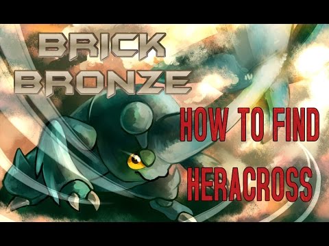 Pokemon Brick Bronze, Wiki