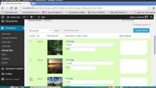Grand Flagallery Plugin Wealth