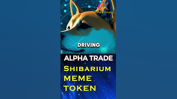 Shibarium MEME TOKEN Helping SHIBA INU Layer 2