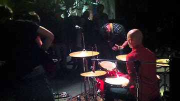 The Bulletproof Tiger - Everything Popular Is Wrong