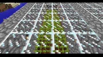 Minecraft Beta 1.7.01 Automatic Farm