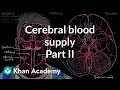 Brain Blood Supply Quiz