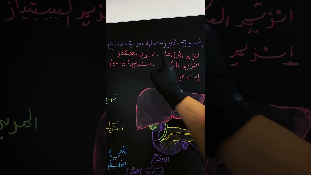 #الجزائر #bem #شهادة_التعليم_المتوسط ##58ولاية