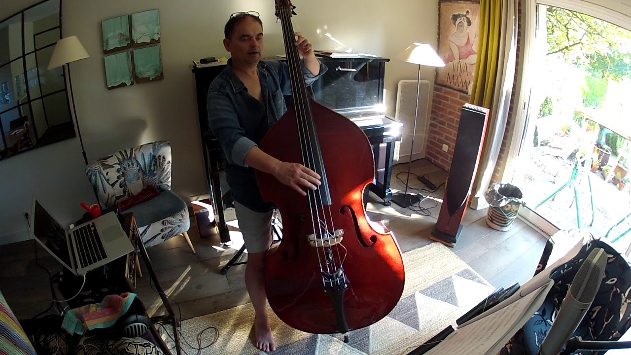 pizzicato strings