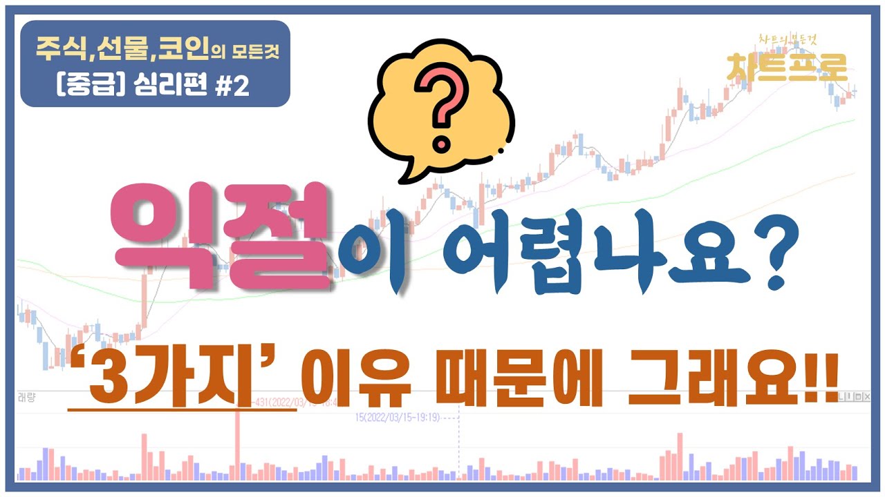 【중급-심리편#2】