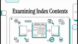 Examining Index Contents
