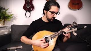 Poloness 44 nach Füllgraf - Waldzither