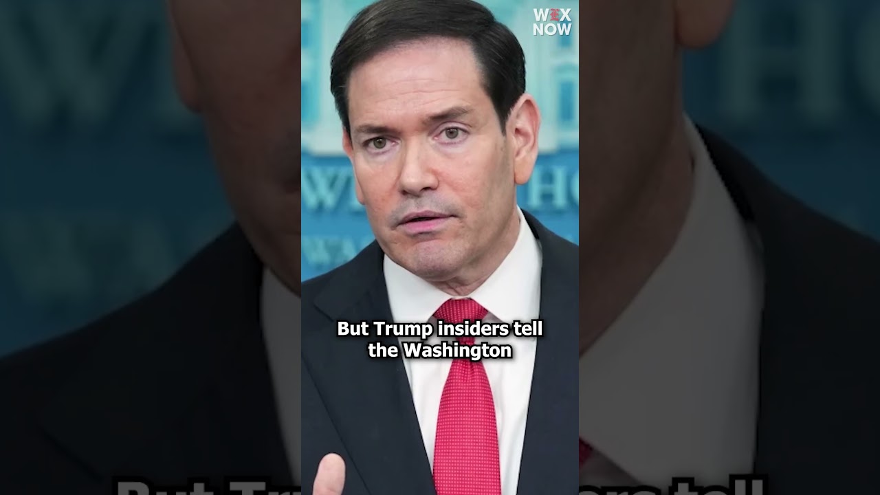 Marco mania or ‘mountain out of a molehill ’ Trumpworld debates Rubio’s rise