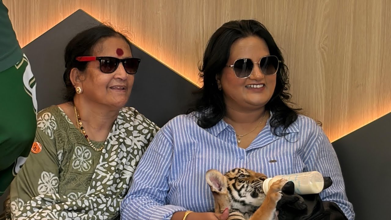 Thailand Dairies - Day1 #pattaya #Bankok #familytrip #tigertopia #tigers 