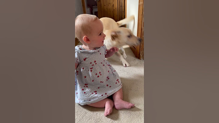Dog gets a little too excited around baby 🤣 (🎥: ViralHog)