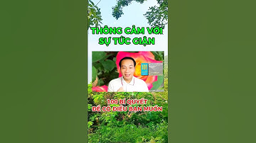 Thông cảm với sự tức giận #bachhaohung