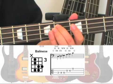 mjs-easy-bass-guitar-scales-lesson-dvd---learn-over-50-common-and-exotic-scales
