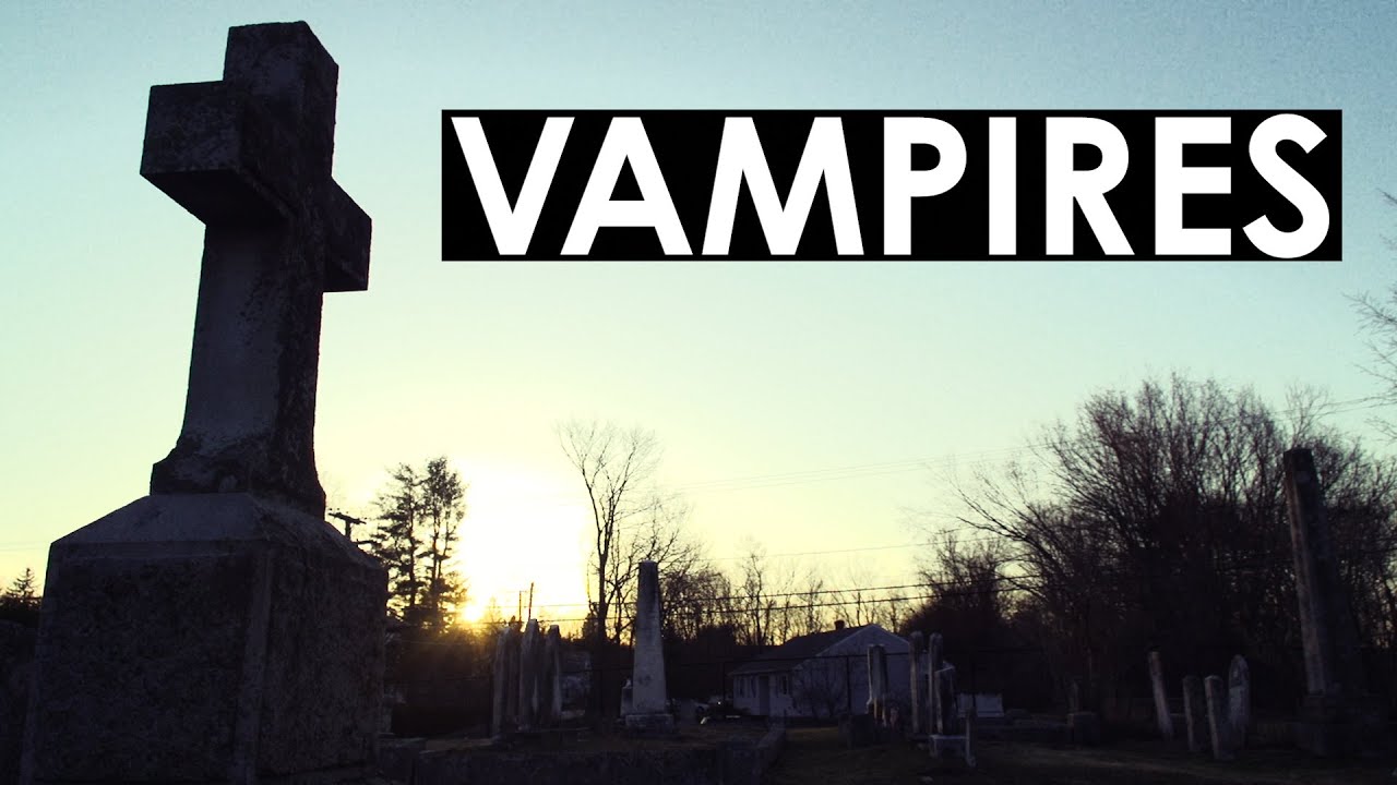 DAY 1208: The Lost Video - YouTube