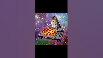 #Cute#Cat#Beltran- Smack Yo