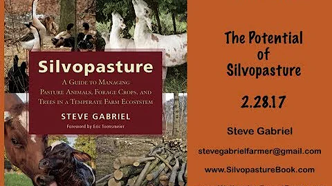 The Potential for Silvopasture, Part 1