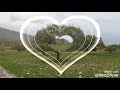 پشته لارت بدره ایلام پشته لارت بدره ایلام