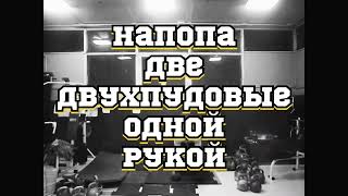 НАПОПА ДВЕ ДВУХПУДОВЫЕ ГИРИ ОДНОЙ РУКОЙ - ЛИКБЕЗ ДЛЯ ОГОРОДНОГО ПАТРИАРХА И МАЛАЙСКОГО ПИНГВИНА )))