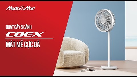 Quạt cây 5 cánh Coex: Thanh lịch, hiện đại (CF-7121D) - Điện máy MediaMart