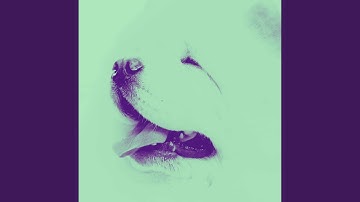 Understated Backdrops for Deep Sleep Puppy