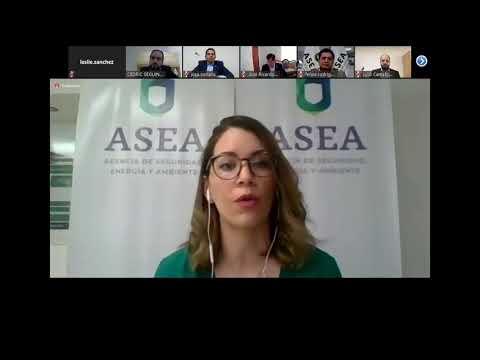 FORO: Guía para la Elaboración del Análisis de Riesgo para el sector hidrocarburos.