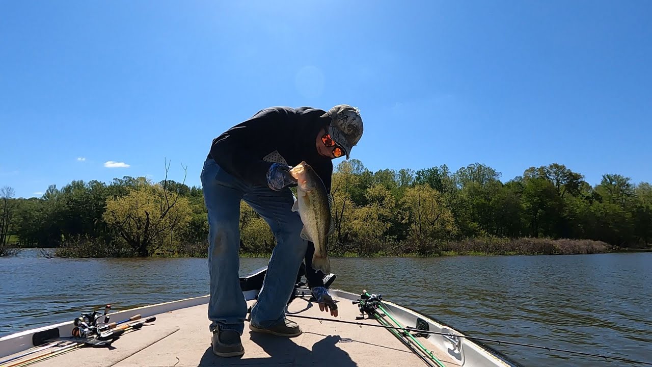 Bass Fishing The Kentucky Lake In The Spawn! Bass Manager The Best Bass Fishing Page On The