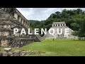 Visité Palenque en Chiapas ¿Que hacer en Palenque? 🇲🇽| Martin Osorio