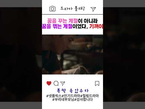 🌺폭싹속았수다🌺 꿈을 꾸는 계절이 아니라, 꿈을 꺾는 계절이었다. 기꺼이. #폭싹속았수다 #넷플릭스 #인기드라마 #K드라마 #박보검 #아이유 #드라마명장면 #부모의희생 #기꺼이