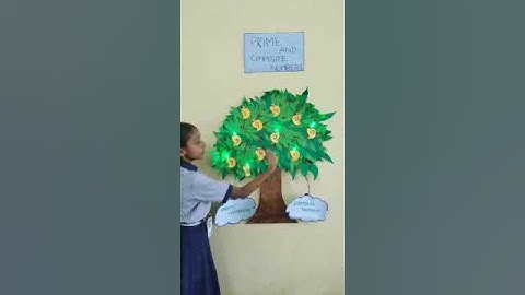 PRIME & COMPOSITE NUMBERS (V - STD B)