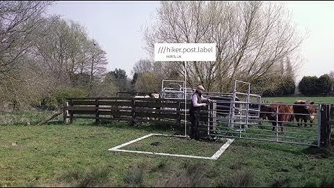 Share any precise location easily with what3words - Jeremy Perkins, TwoMills Herd