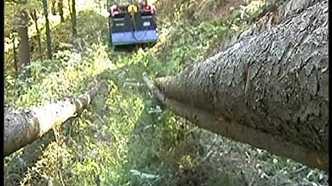 Stroia Product - Troliu forestier 80G Uniforest