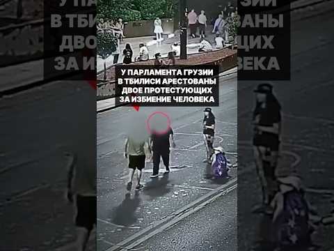 У парламента Грузии в Тбилиси арестованы двое протестующих за избиение человека