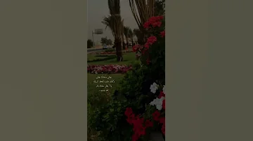 عيش وحدك عيش وكانك منفرد 