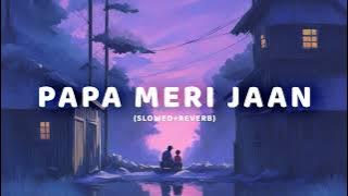 ANIMAL: PAPA MERI JAAN (Slowed Reverb) |Ranbir Kapoor | |Chilled Tunes|