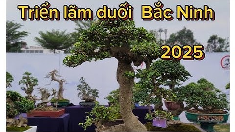 Triển lãm duối Bắc Ninh 2025 video số 2