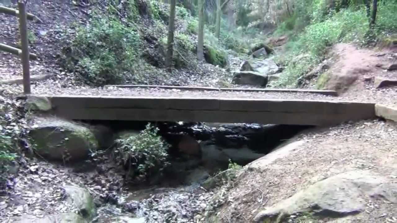 Rutas desde Pallejà. Font de les Rovires i Font del Carinyo