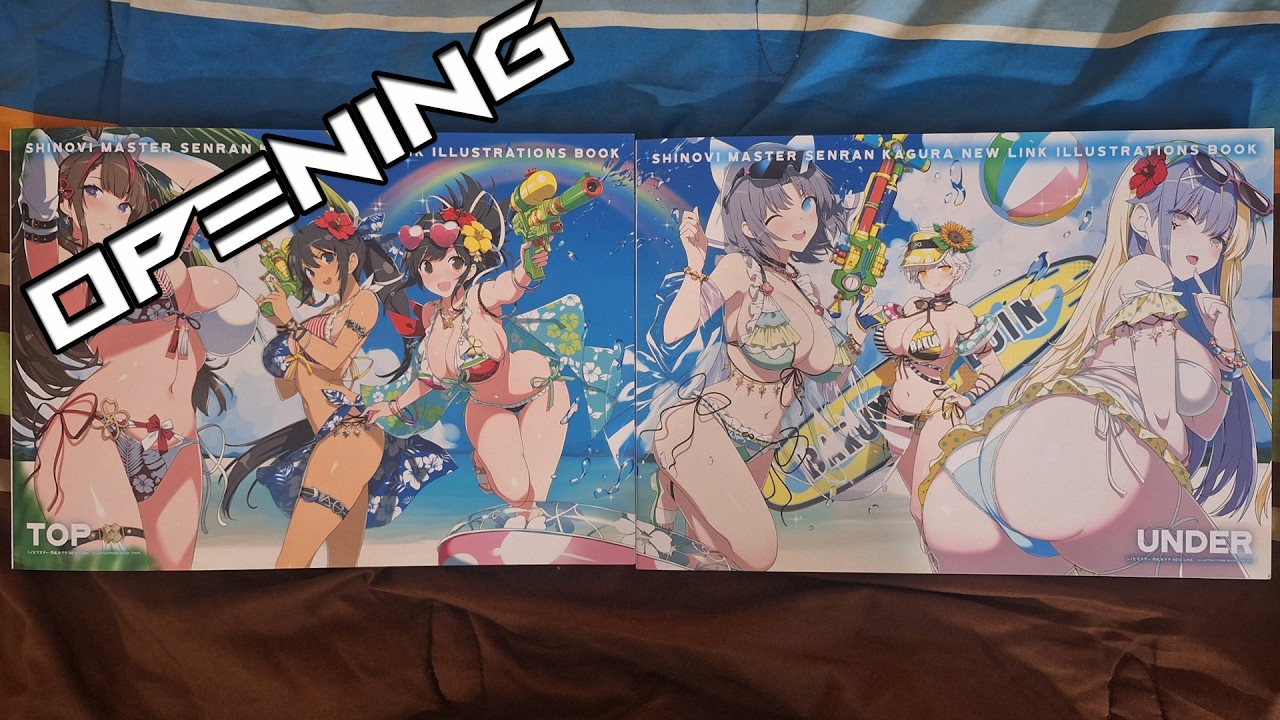 Shinovi Master Senran Kagura New Link Illustration Books 