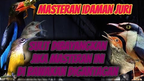 TEMBAKAN BRUTAL TAMPA AMPUN | jinjing petulak tengkek udang pijantung katem & prenjank