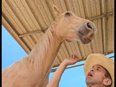 My Weekend Horse Care Routine at a Beautiful Malibu Ranch Estate
